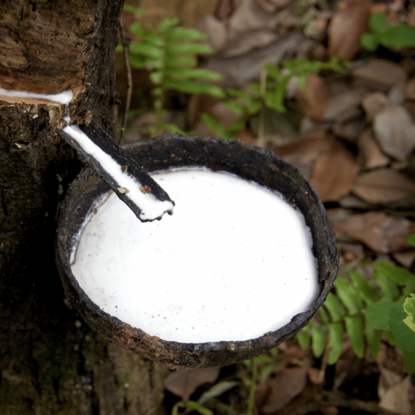 Epoxidized Natural Rubber (ENR)